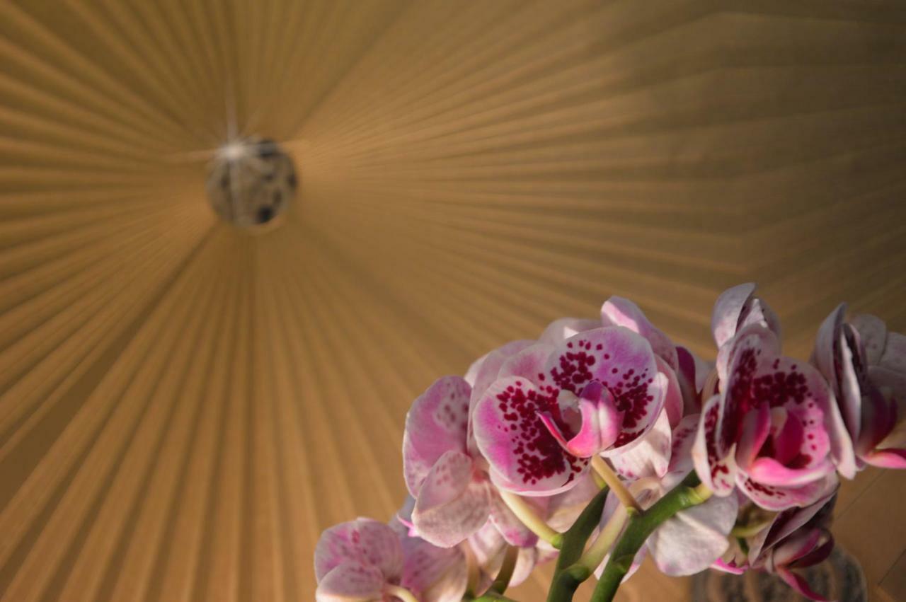 My-Lord Luxapartman Еґер Екстер'єр фото